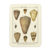 Magnet Flexible Coques vintages (Vertical)