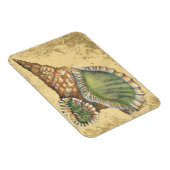 Magnet Flexible Coquillage Brown et vert (Côté Droit)