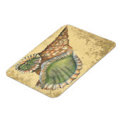 Magnet Flexible Coquillage Brown et vert (Côté Gauche)