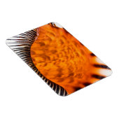 Magnet Flexible Coquillage hypnotique (Côté Droit)