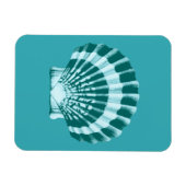 Magnet Flexible Coquillage - Tons bleu turquoise (Horizontal)