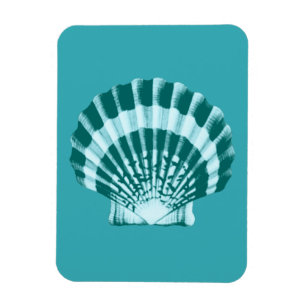 Magnet Flexible Coquillage - Tons bleu turquoise