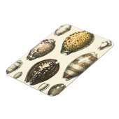 Magnet Flexible Coquillages De Forme Unique (Côté Gauche)