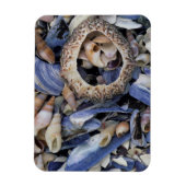 Magnet Flexible Coquillages, Le Cap, Cap-Occidental (Vertical)