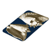 Magnet Flexible Coquillages Sepia Conch (Côté Gauche)