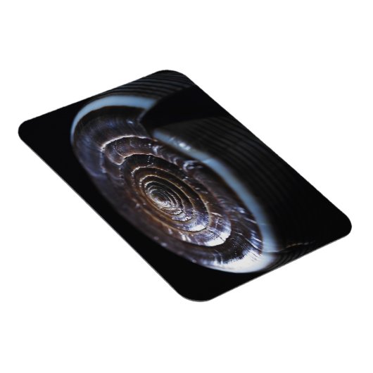 Magnet Flexible Coquille de cône (Côté Droit)