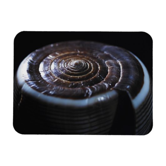 Magnet Flexible Coquille de cône (Horizontal)