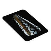 Magnet Flexible Coquille de cône 2 (Côté Droit)