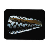 Magnet Flexible Coquille de cône 2 (Horizontal)