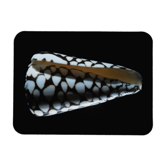 Magnet Flexible Coquille de cône 2 (Horizontal)