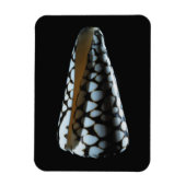 Magnet Flexible Coquille de cône 2 (Vertical)