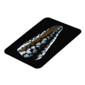 Magnet Flexible Coquille de cône 2 (Côté Gauche)