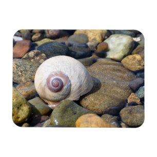 Magnet Flexible Coquille de lune sur le canal Hood