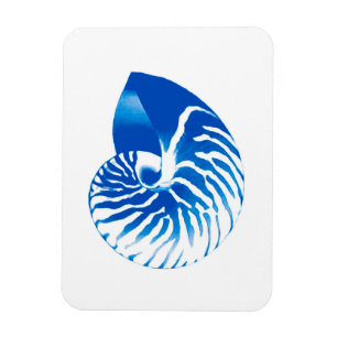 Magnet Flexible Coquille de Nautilus - bleu et blanc de cobalt