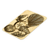 Magnet Flexible Coquilles neutres et collection de corail (Côté Gauche)