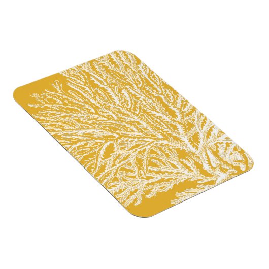 Magnet Flexible Corail jaune et blanc (Côté Droit)