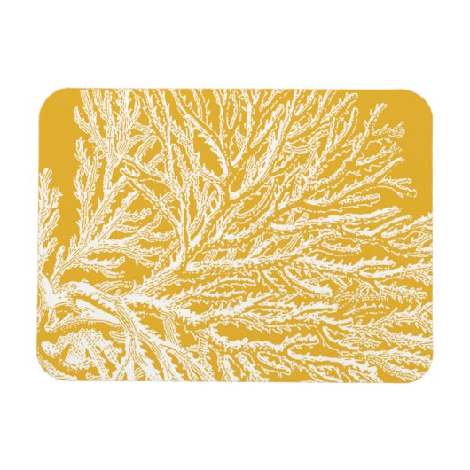 Magnet Flexible Corail jaune et blanc (Horizontal)