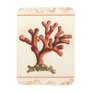 Magnet Flexible Corail rouge avec bordure conique