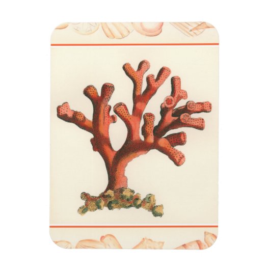 Magnet Flexible Corail rouge avec bordure conique (Vertical)