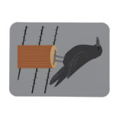 Magnet Flexible Corbeau (Horizontal)