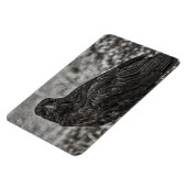Magnet Flexible Corbeau P9239 (Côté Gauche)