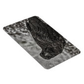 Magnet Flexible Corbeau P9239 (Côté Droit)