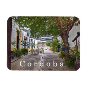 Magnet Flexible Cordoba. #30.  