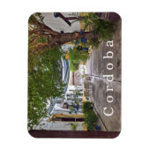 Magnet Flexible Cordoue. #30.   (Vertical)