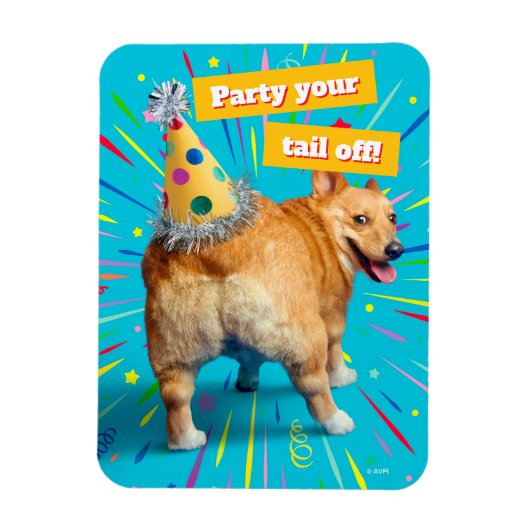 Magnet Flexible Corgi Butt Birthday Hat (Vertical)