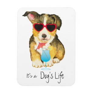 Magnet Flexible Corgi de Gallois de Pembroke d'été