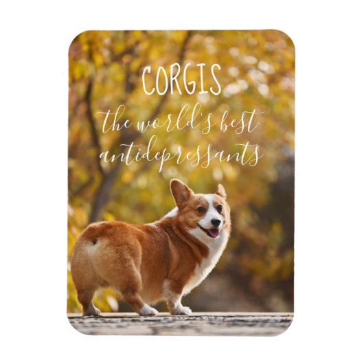 Magnet Flexible Corgis Le Meilleur Antidépresseur Au Monde (Vertical)