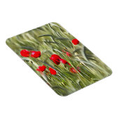 Magnet Flexible Corn Poppies (Côté Droit)