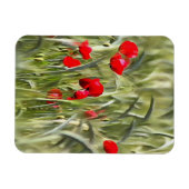 Magnet Flexible Corn Poppies (Horizontal)