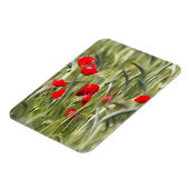 Magnet Flexible Corn Poppies (Côté Gauche)