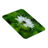 Magnet Flexible Corne (Côté Droit)