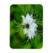 Magnet Flexible Corne (Vertical)