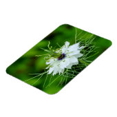 Magnet Flexible Corne (Côté Gauche)