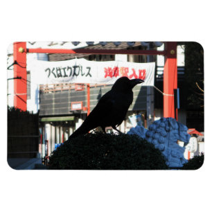 Magnet Flexible Corneille japonaise