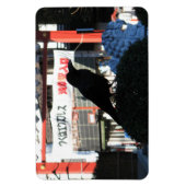 Magnet Flexible Corneille japonaise (Vertical)