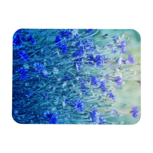 Magnet Flexible Cornfleurs (Horizontal)