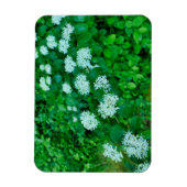 Magnet Flexible Cornus sanguinea (Vertical)
