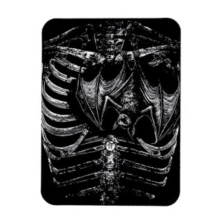 Magnet Flexible Corps de squelette X-ray avec chauve-souris