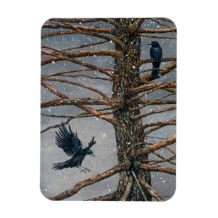 Magnet Flexible Corvus Corvidae et l'aimant du cèdre
