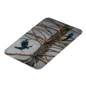 Magnet Flexible Corvus Corvidae et l'aimant du cèdre (Côté Gauche)