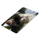 Magnet Flexible Cosmo 4 X 6 Aimant photo personnalisé (Côté Gauche)