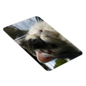 Magnet Flexible Cosmo 4 X 6 Aimant photo personnalisé (Côté Droit)