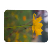 Magnet Flexible Cosmos de soufre 02 (Horizontal)