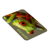 Magnet Flexible Costa Rica Grenouille à feuilles rouges prête à sa (Côté Droit)
