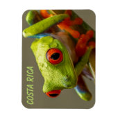 Magnet Flexible Costa Rica Grenouille à feuilles rouges prête à sa (Vertical)