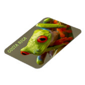 Magnet Flexible Costa Rica Grenouille à feuilles rouges prête à sa (Côté Gauche)
